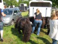 /album/menrit-04-06-2011/zeeuwse-menrit-juni-2011-001-jpg/